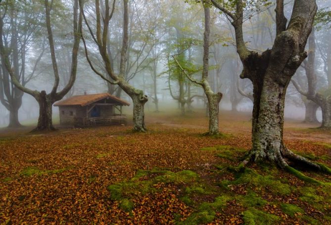 Oianleku: foto en Oiartzun