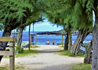 Ondarreta en la Sombra