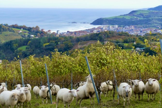 Paisaje de Zarautz : foto en Zarautz