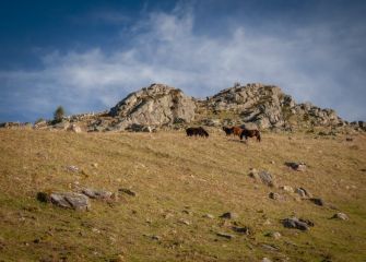 Paisajes del Adarra