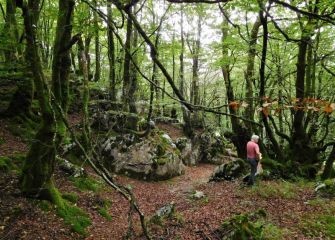 Paseo por los bosques de Izarraitz.