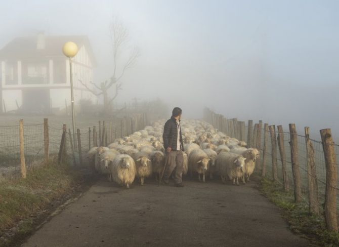 El pastor: foto en Lazkao