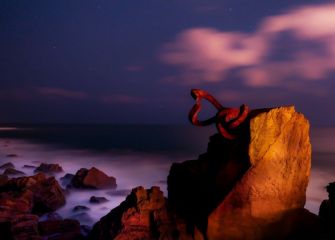 el peine sedoso bajo las estrellas