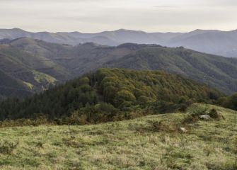 Peñas de Aya
