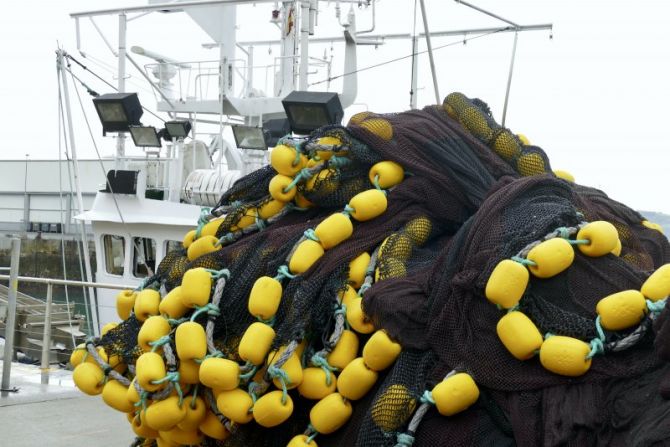 Puerto de Getaria 2020 : foto en Getaria