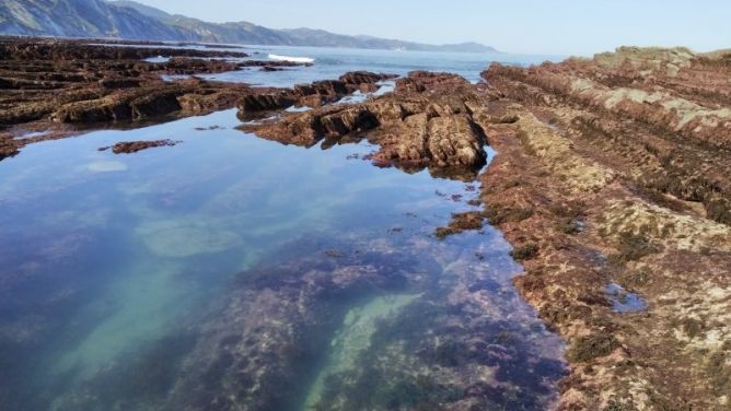 Reflejos: foto en Zumaia