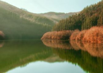 Reflejos en Nuarbe