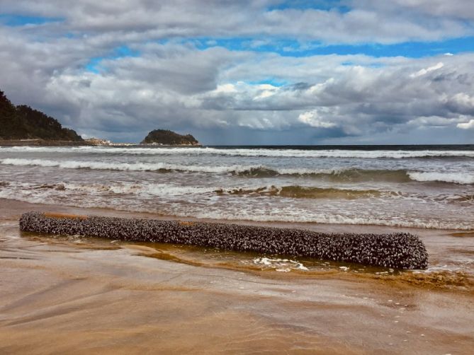 Regalo de la mar en la playa de Zarautz : foto en Zarautz