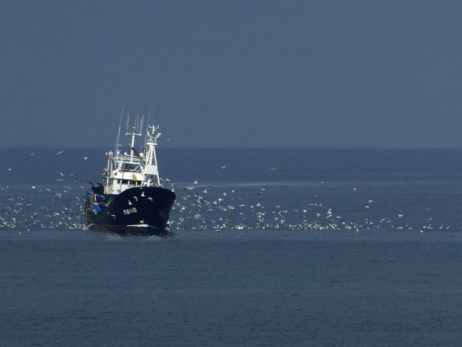 Regreso a puerto: foto en Getaria