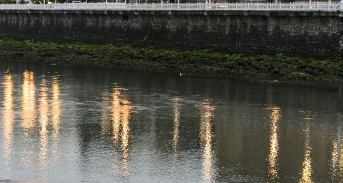 Rio Urumea: foto en Donostia-San Sebastián