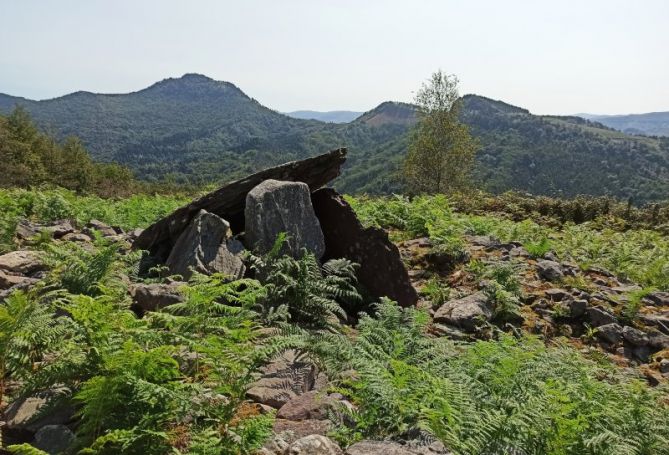 Silencio milenario: foto en Hernani