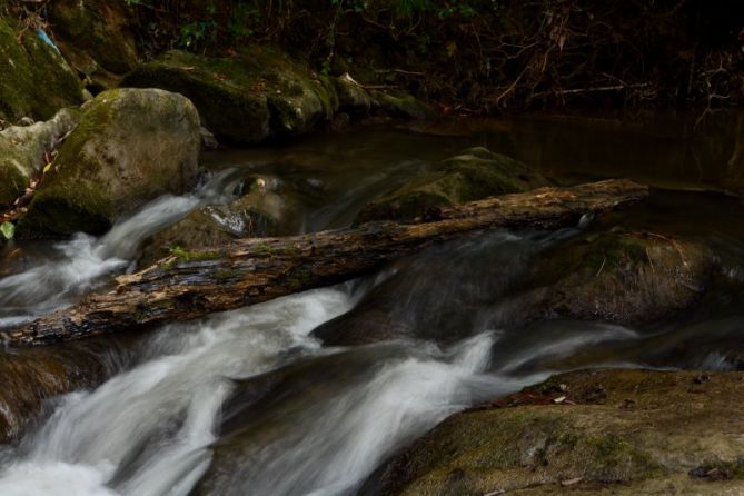 surfeando por el oria: foto en Idiazabal