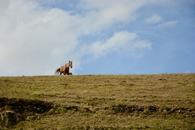 Territorio Guipuzkoa: foto en Idiazabal