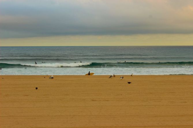 Típico.: foto en Donostia-San Sebastián