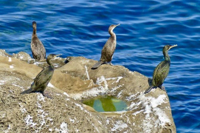 tomando el Sol : foto en Getaria