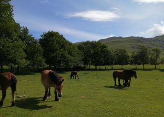 TRANQUILIDAD EN URBIA