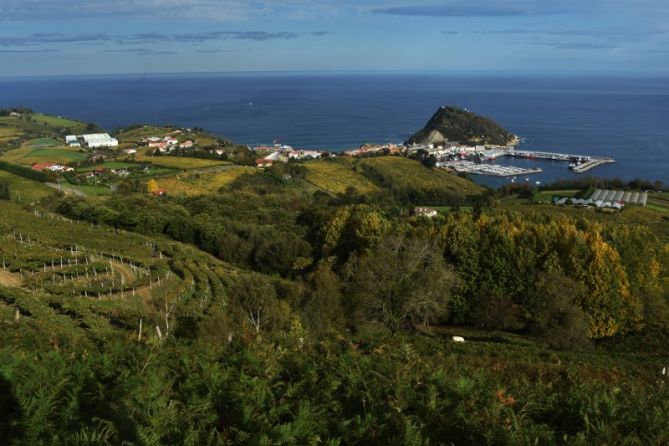 TXAKOLINAREN HERRIA: foto en Getaria