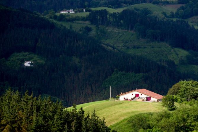 Udaberriko argia: foto en Lazkao