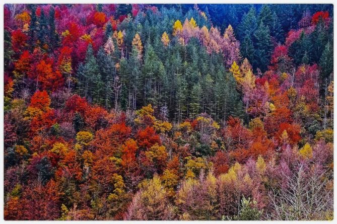 UDAZKENA!!: foto en Aizarnazabal