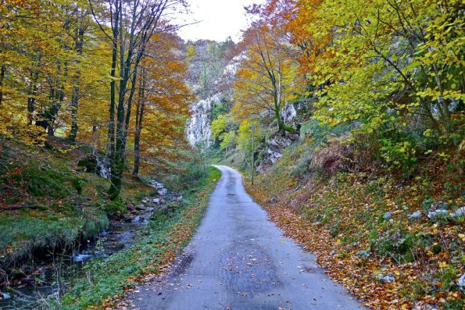 Udazkena Arantzazun : foto en Oñati