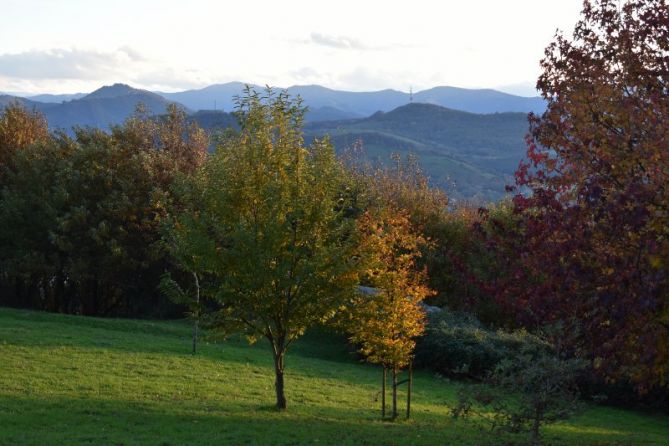 UDAZKENEKO KOLOREAK: foto en Pasaia