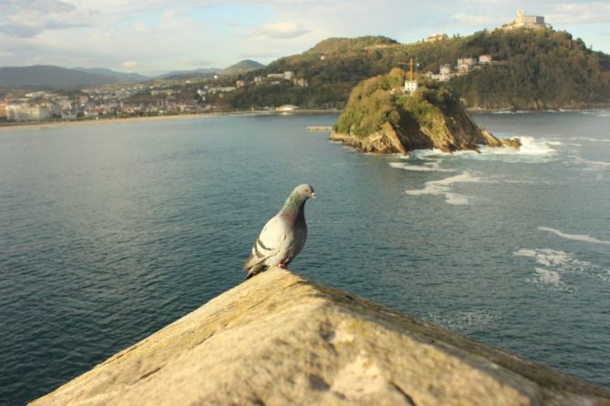 Urgull.: foto en Donostia-San Sebastián