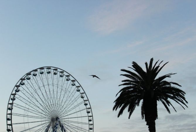 Volando.: foto en Donostia-San Sebastián