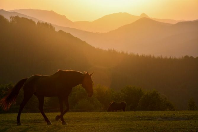 ZALDIAK : foto en Bergara