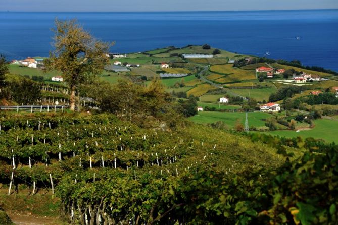 ZELAI BERDEAK: foto en Getaria