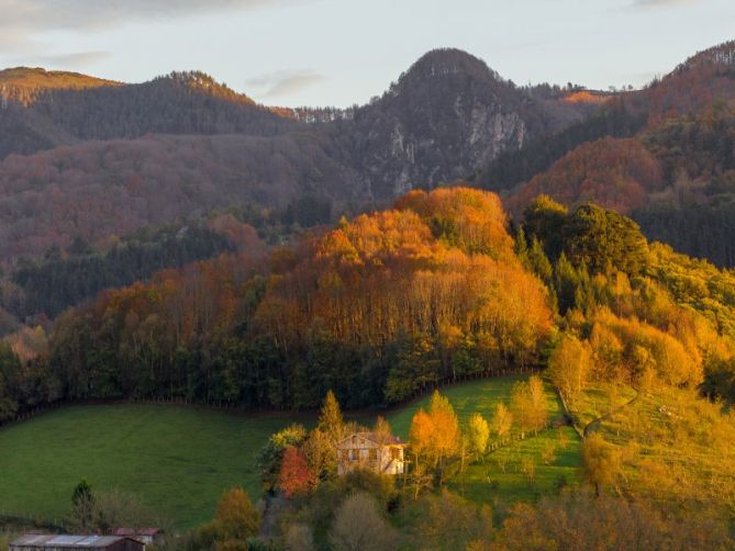 colores del otoño: foto en Irun