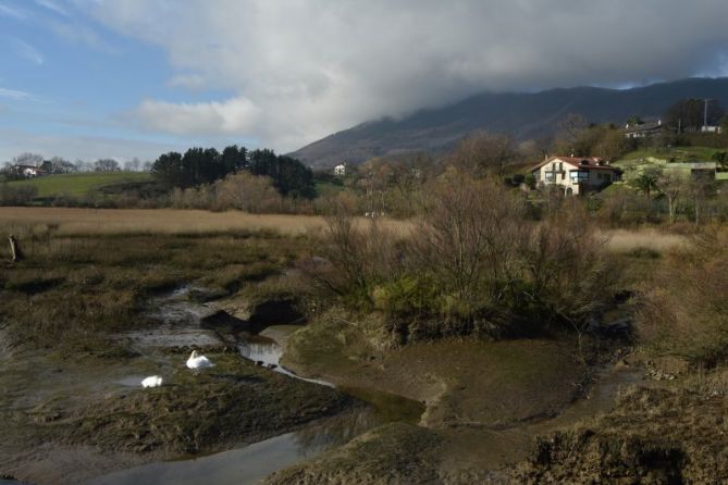 PADURA-MARISMA: foto en Hondarribia