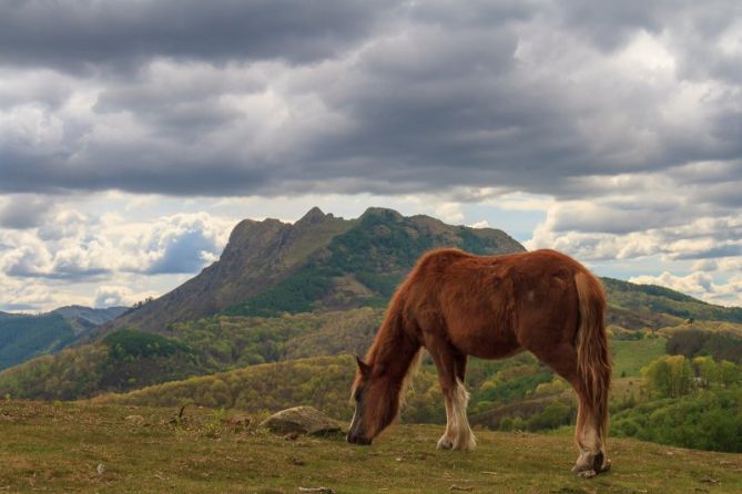 Aiako  Harría: foto en Irun