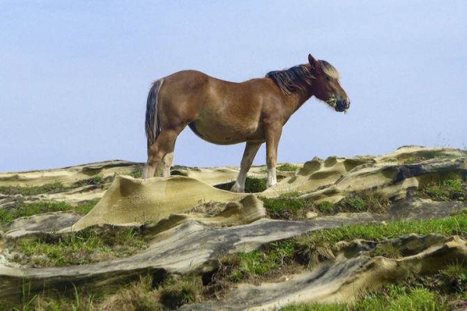 Alcantilados de Jaizkibel : foto en Hondarribia