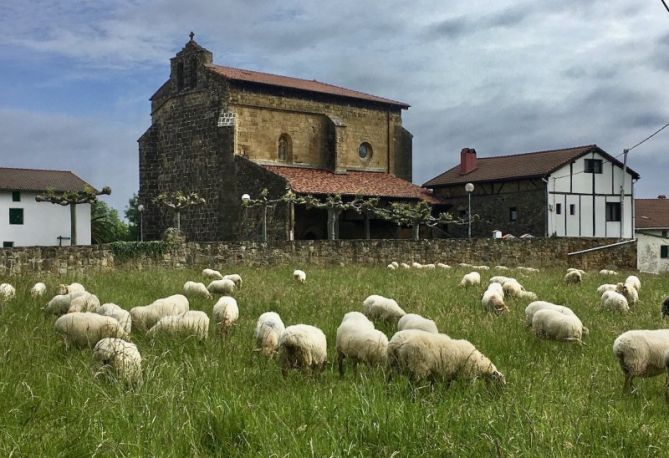 Askizu : foto en Getaria