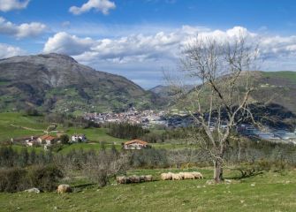 Azpeitia desde Oñatz