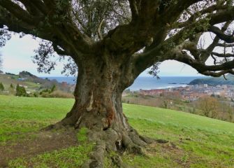 Balentxi con vistas de Zarautz 