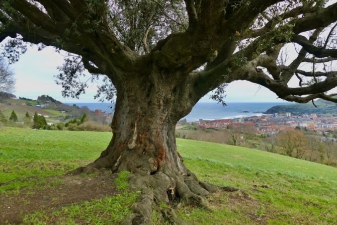 Balentxi con vistas de Zarautz : foto en Zarautz