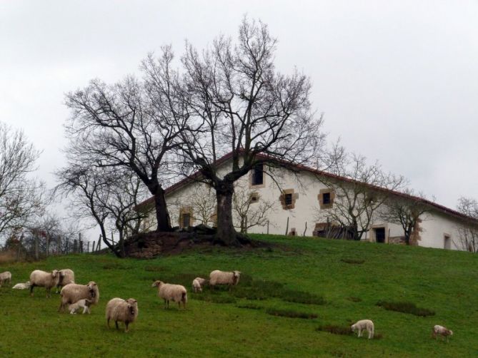 Baserria: foto en Aretxabaleta