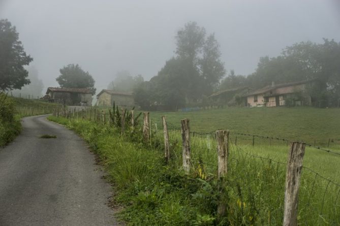 Bedaio: foto en Tolosa