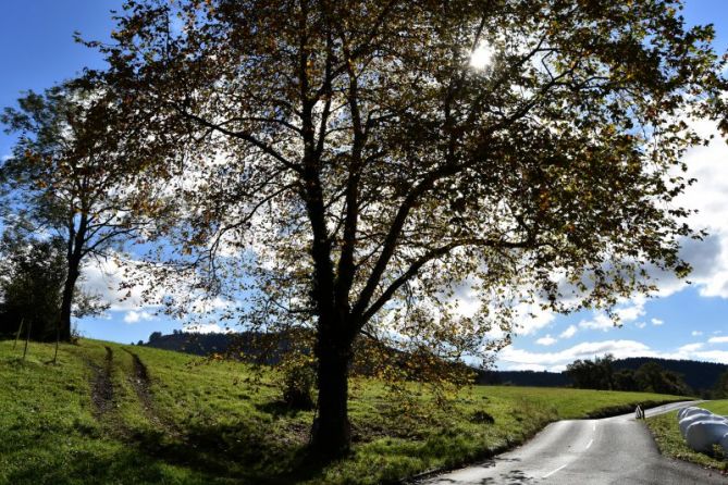 BI BIDE-DOS CAMINOS: foto en Errenteria