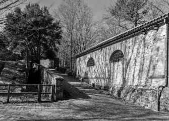 Blanco y negro de otoño