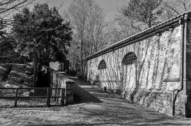 Blanco y negro de otoño: foto en Donostia-San Sebastián