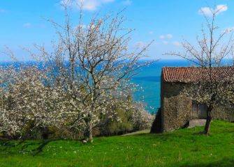 Borda costera