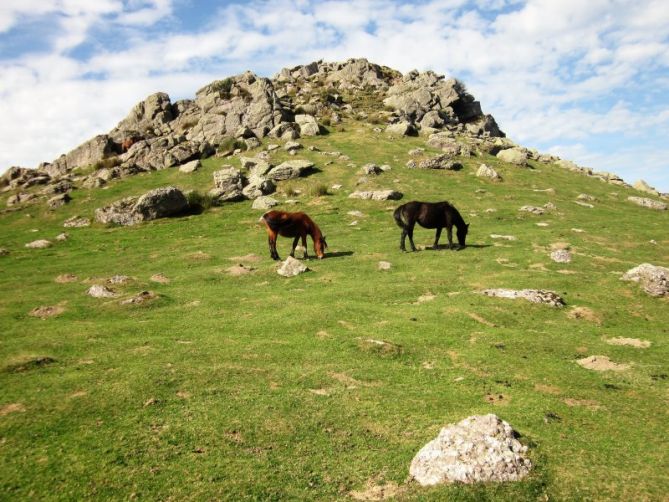 Caballos en el monte Adarra.: foto en Urnieta