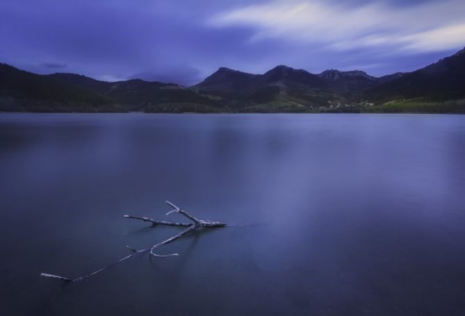 Calma: foto en Aretxabaleta