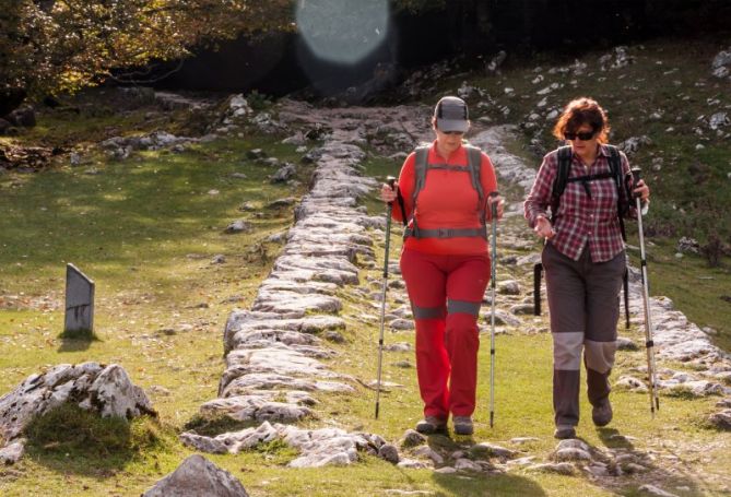 Calzada romana: foto en Zegama