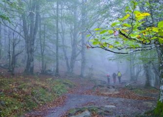 Caminando en la niebla 