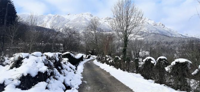 Camino Vasco de Santiago de Interior.: foto en Zegama