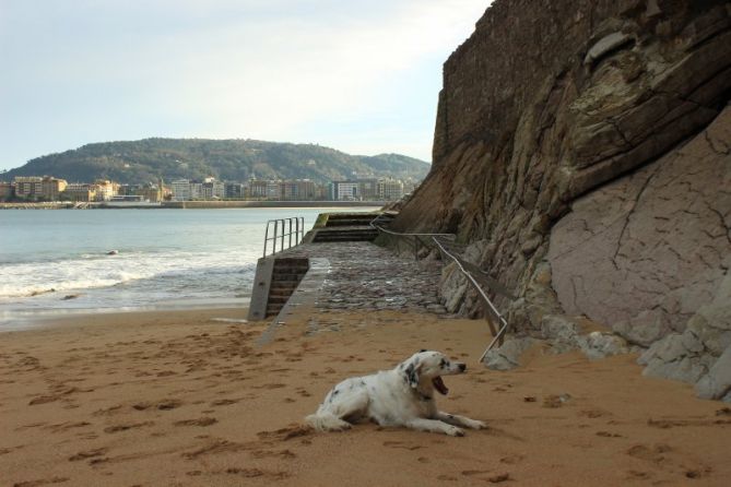 Cannsancio: foto en Donostia-San Sebastián