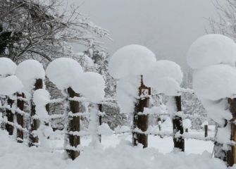 Caprichos de nieve